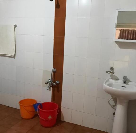 اتاق لوکس, Palm Rivera Kochi