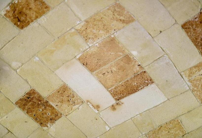 行政三人间, Terra Dei Sogni