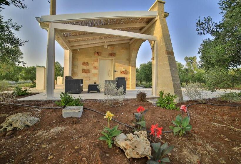 行政三人间, Terra Dei Sogni