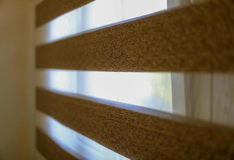 行政三人间, Terra Dei Sogni