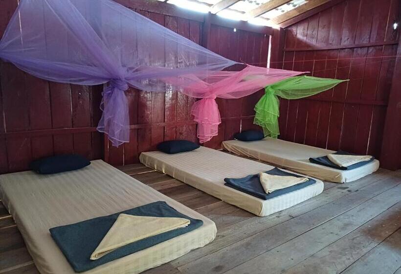 共用房间的床, The Last Point Hostel