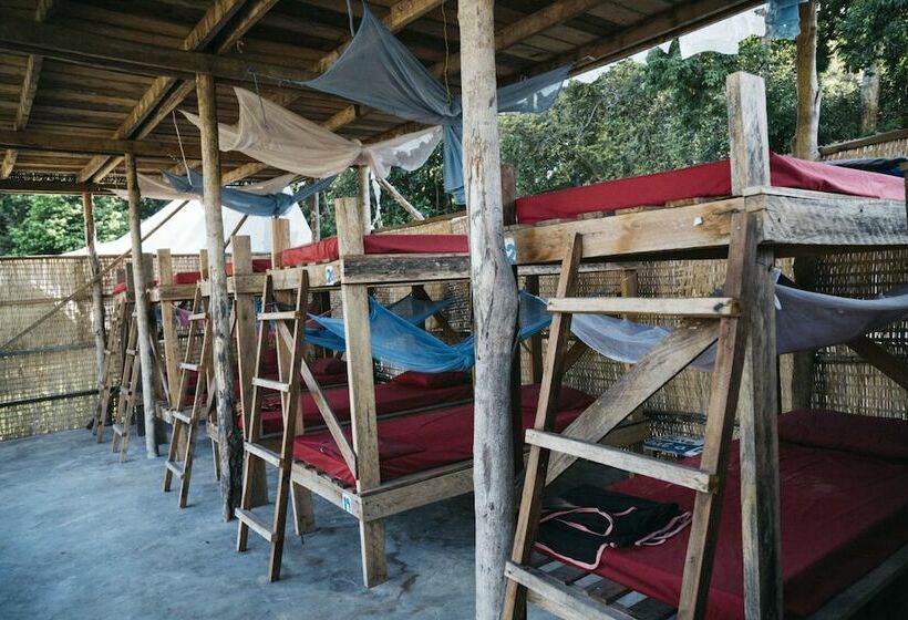 共用房间的床, The Last Point Hostel