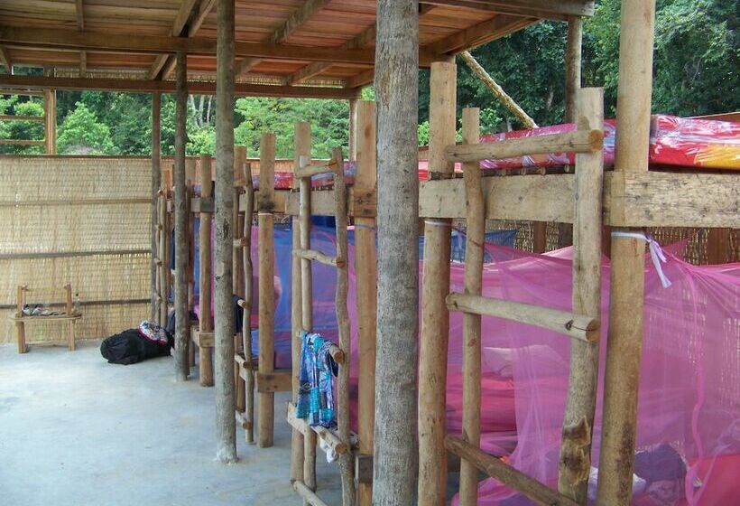 共用房间的床, The Last Point Hostel