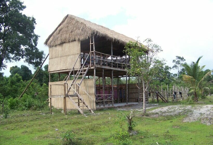 共用房间的床, The Last Point Hostel