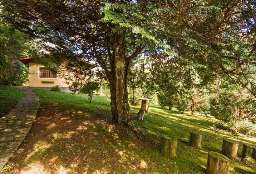 Superior Neljän Hengen Huone, Villa Vintage Campos   Piscina E Opções De Suites Com Hidromassagem