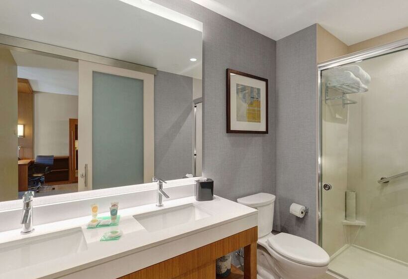 套房, Hyatt Place Milwaukee Downtown