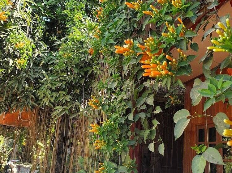 标准间带阳台, Vang Vieng Garden Bungalow
