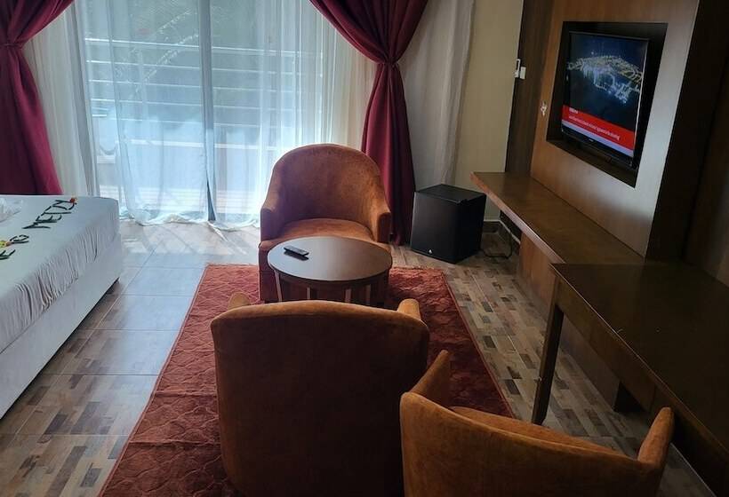 اتاق لوکس, Metzy Residence