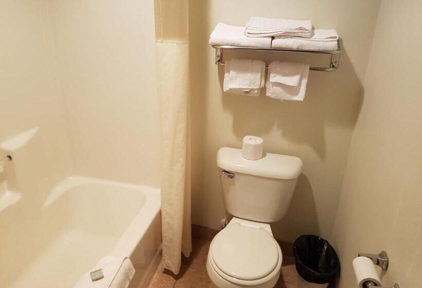 غرفة قياسية فردية, Split Mountain Motel