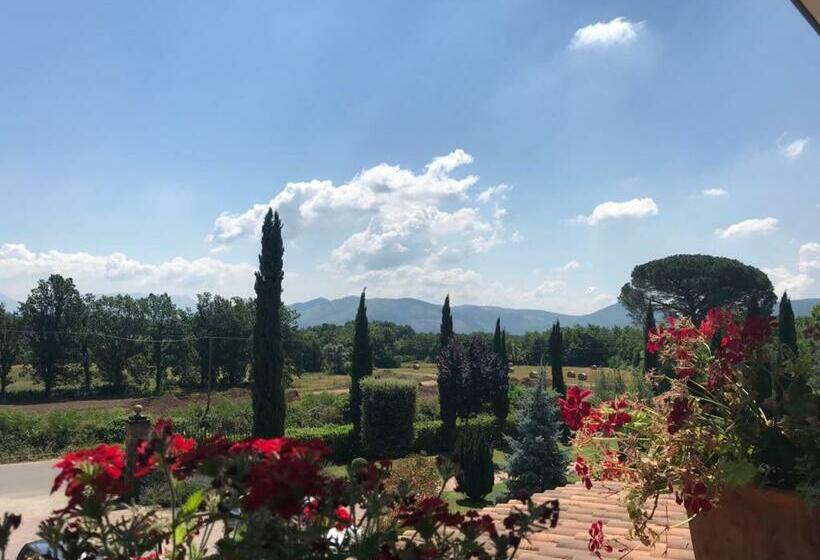 スタンダードルーム, Villa Cristina