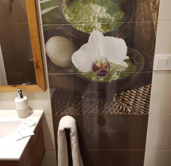 이코노미 룸, Pension Arena Alicante