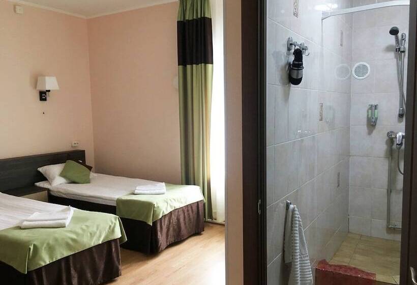 غرفة قياسية, Mini Hotel Ilma