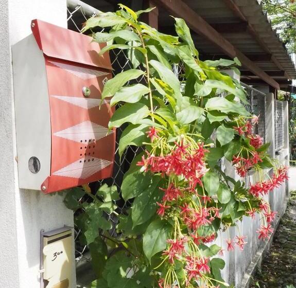 بنجلو عائلى, Bann Rai Klai Weang Homestay