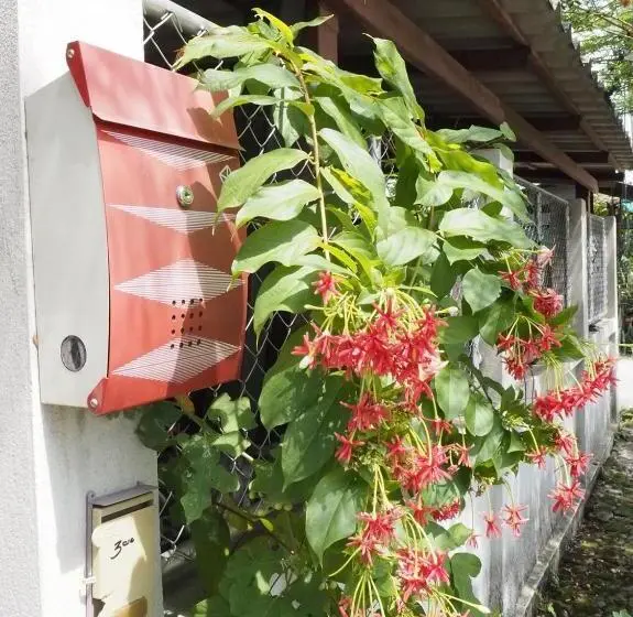 家族用バンガロー, Bann Rai Klai Weang Homestay