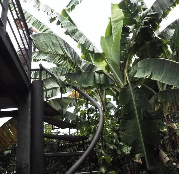 بنجلو عائلى, Bann Rai Klai Weang Homestay