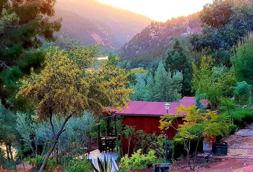 标准平房, Dar L Eau Vive