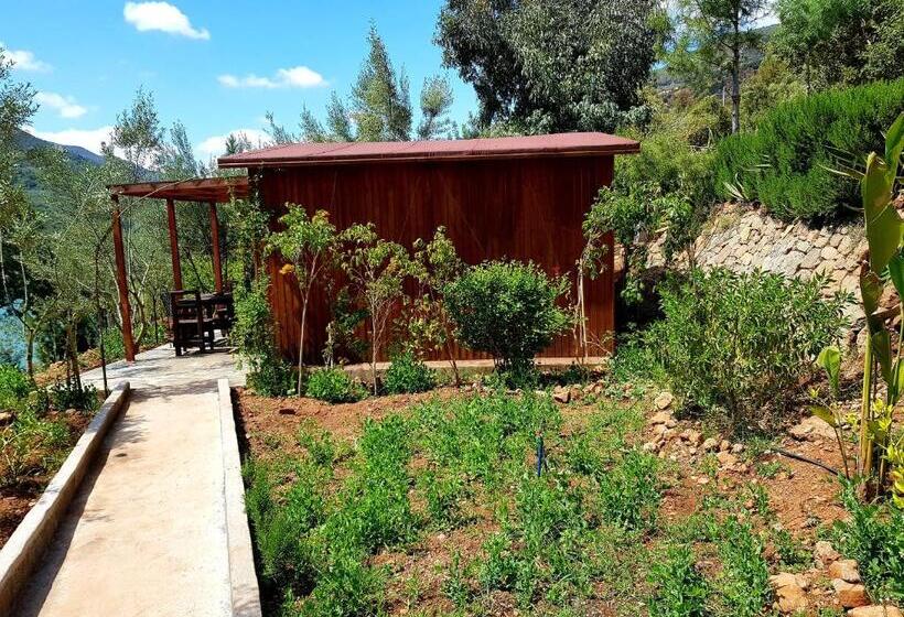 标准平房, Dar L Eau Vive