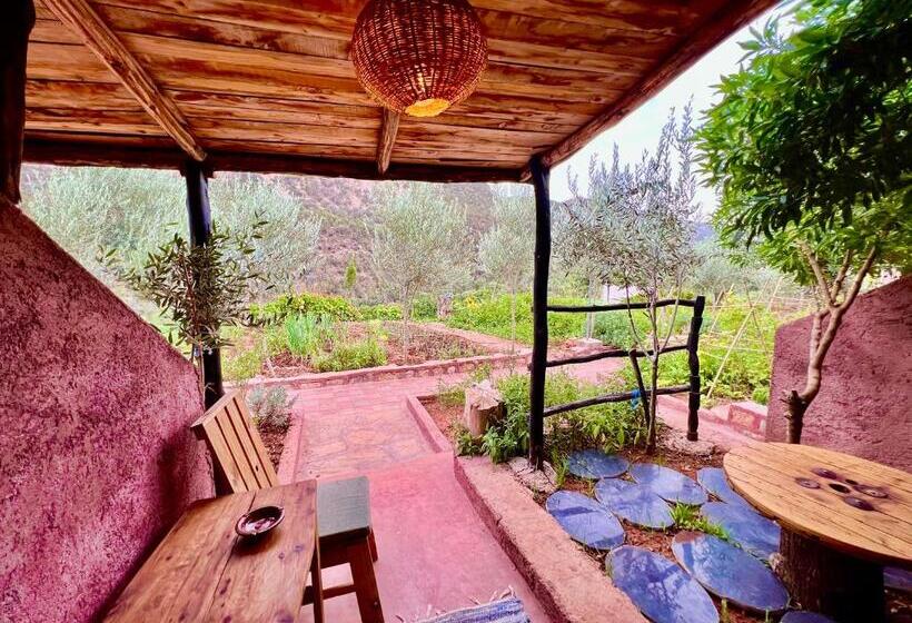 标准间, Dar L Eau Vive