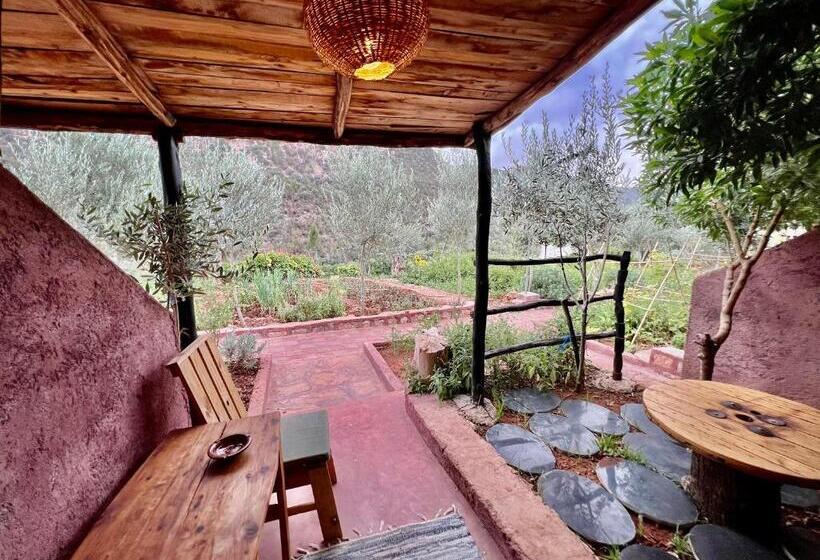 标准间, Dar L Eau Vive