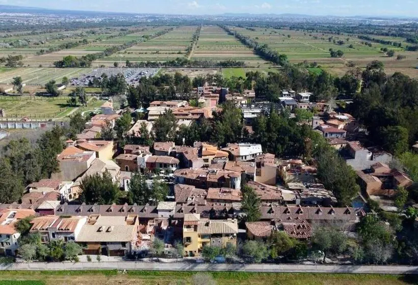 スタンダードルーム, Mueganos 2 En Valquirico