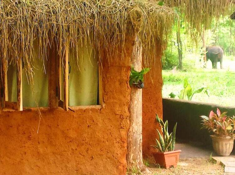 Люкс Повышенной Комфортности, Greenwood Udawalawa Safari Resort