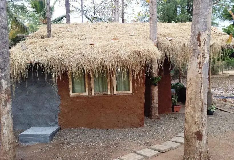 デラックススイート, Greenwood Udawalawa Safari Resort