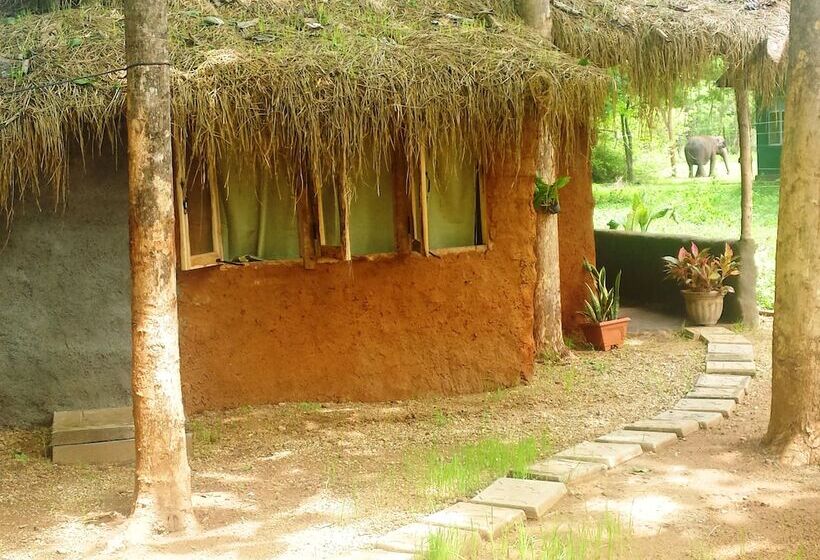 Вилла Deluxe 1 Спальня, Greenwood Udawalawa Safari Resort