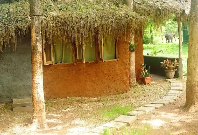 デラックスビラの1ベッドルーム, Greenwood Udawalawa Safari Resort