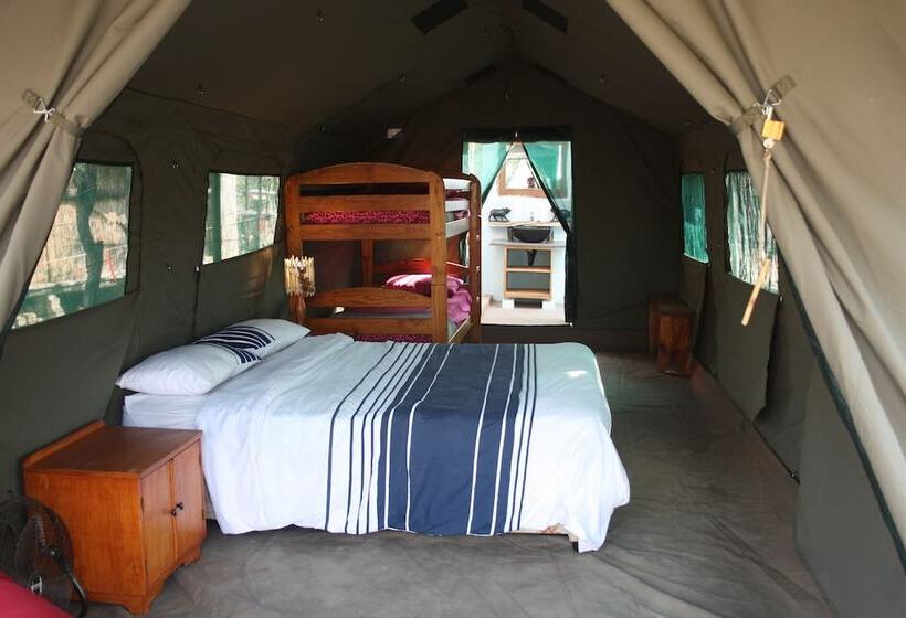 چادر با خدمات رفاهی لوکس, Warthogs Safari Camp