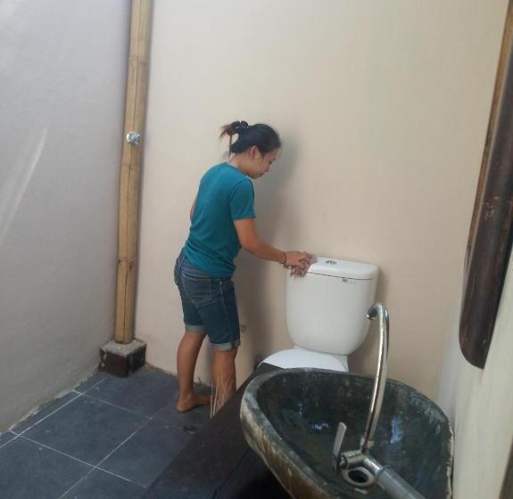 חדר אקונומי, Mango Moon