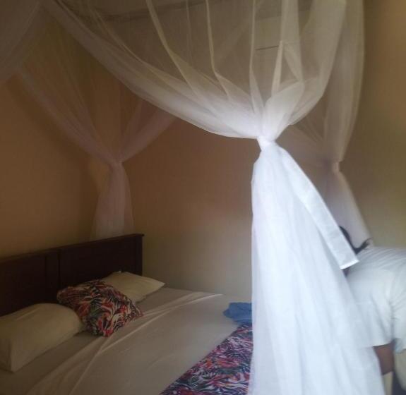 חדר אקונומי, Mango Moon