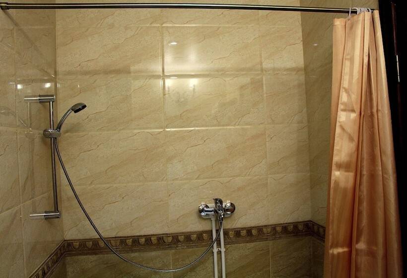 חדר סטנדרט, Diadema Sheremetyevo Guest House