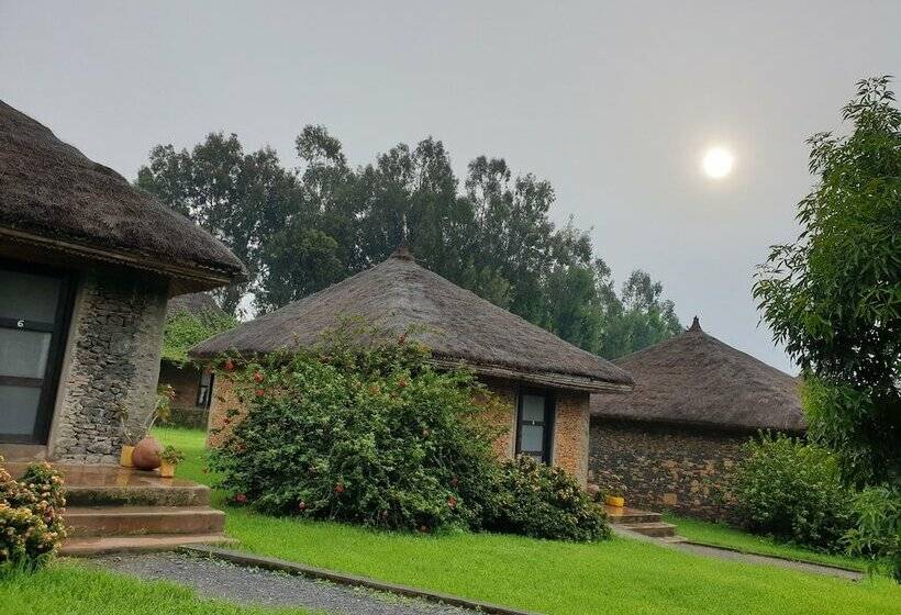 سوئیت رویال, Mayleko Lodge