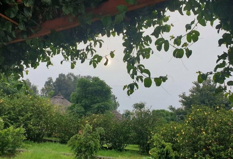 سوئیت رویال, Mayleko Lodge