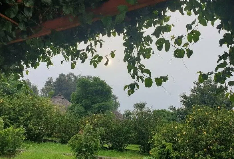 سوئیت رویال, Mayleko Lodge