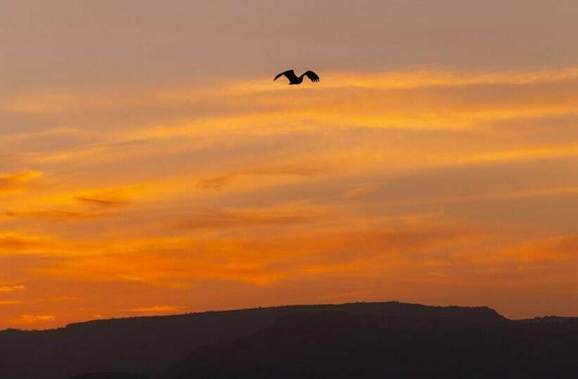 سوئیت رویال, Mayleko Lodge