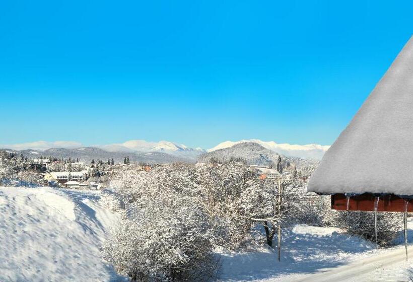 ویلای 2 خوابه, Villa Mtashi