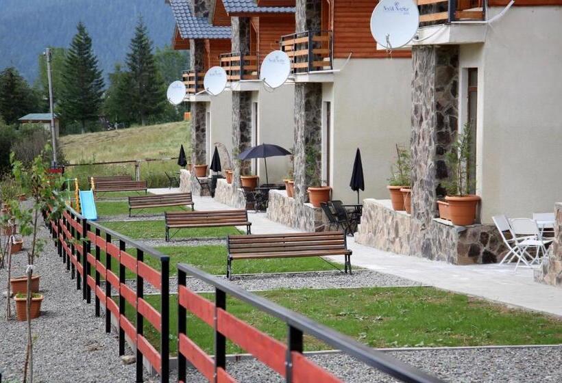 اتاق اجرایی, Villa Mtashi