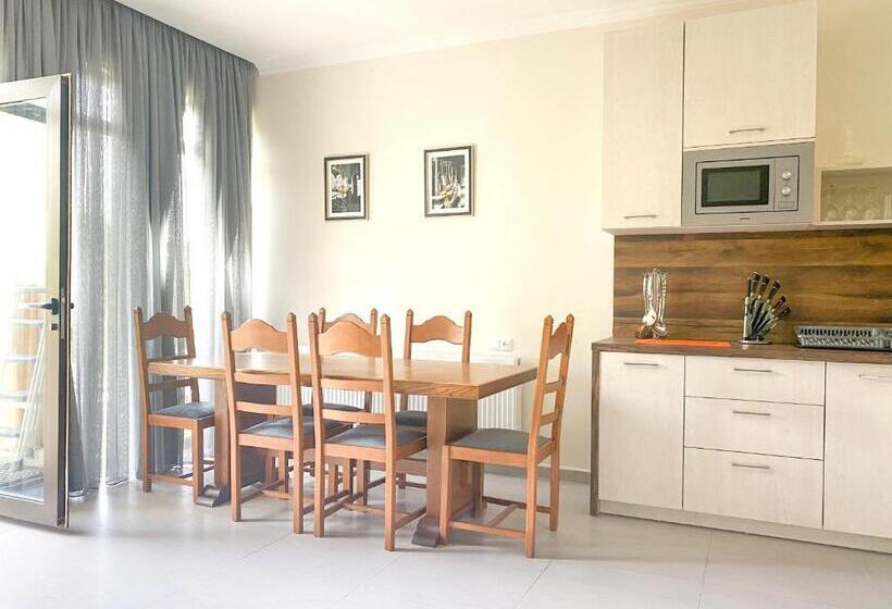 ویلای 1 خوابه, Villa Mtashi