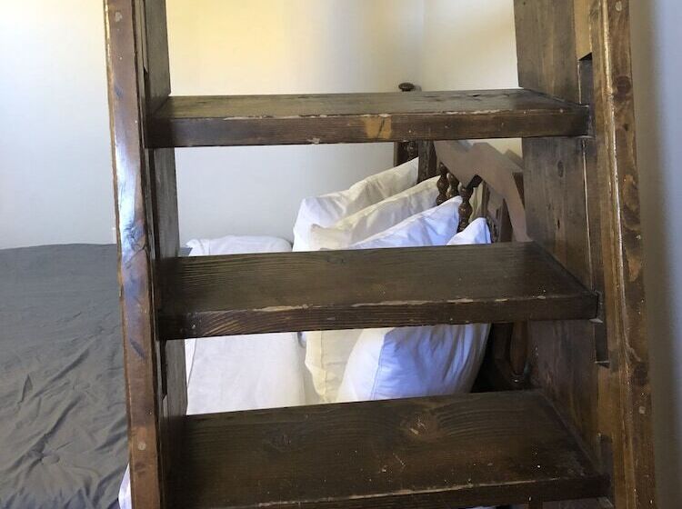 تختخواب در اتاق مشترک, The Avon