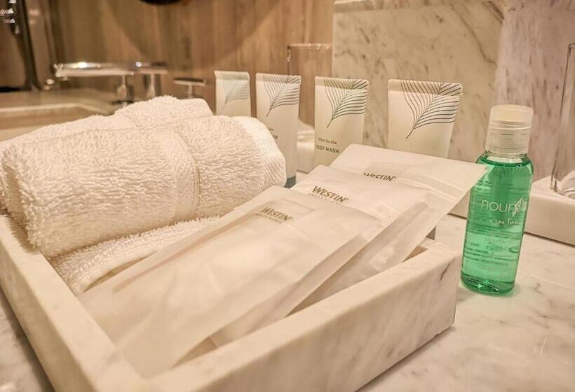 キングサイズベッド、ビュー付きデラックスルーム, The Westin Monterrey Valle