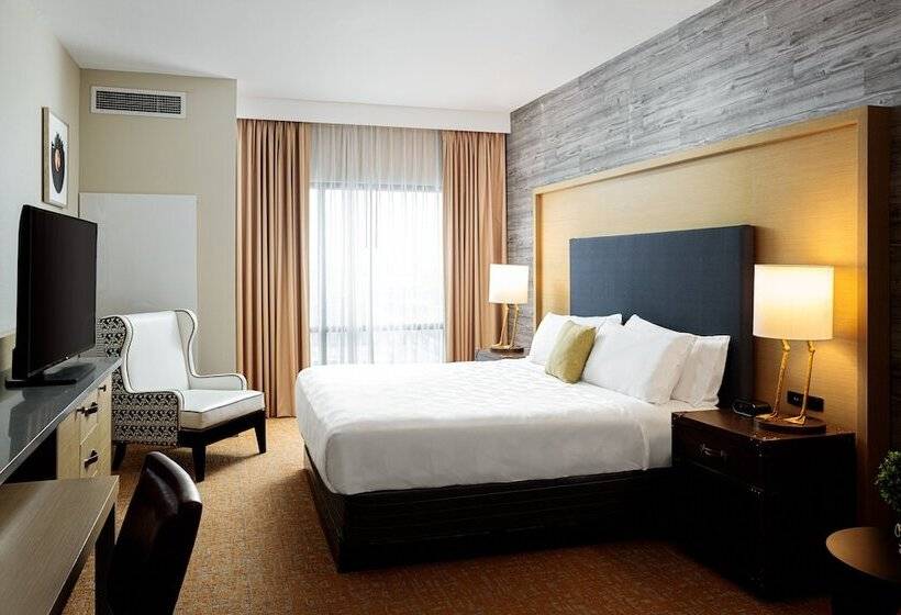 اتاق استاندارد برای معلولان, Holiday Inn & Suites Nashville Downtown Broadway