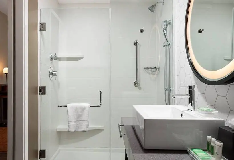身障者適用スイートルーム, Holiday Inn & Suites Nashville Downtown Broadway