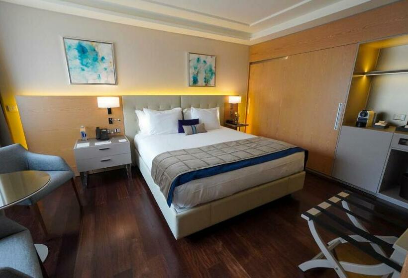 اتاق سوپریور با تخت بزرگ, Palladio Hotel Buenos Aires   Mgallery