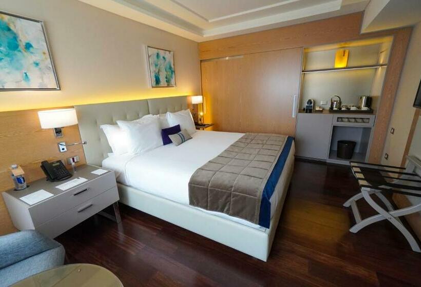 اتاق سوپریور با تخت بزرگ, Palladio Hotel Buenos Aires   Mgallery