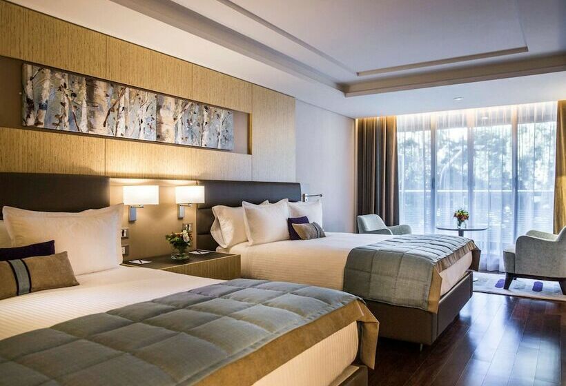 سوئیت دولوکس با چشم‌انداز, Palladio Hotel Buenos Aires   Mgallery