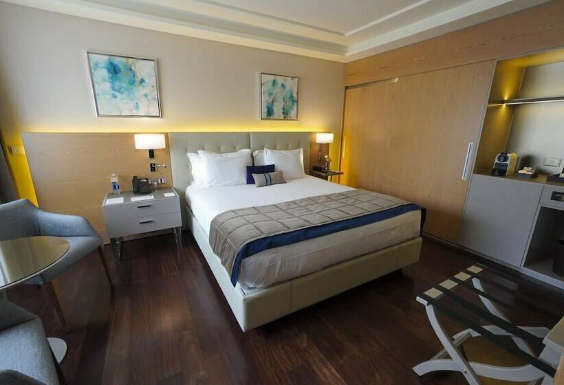 اتاق سوپریور, Palladio Hotel Buenos Aires   Mgallery