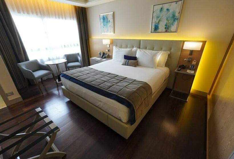 اتاق سوپریور, Palladio Hotel Buenos Aires   Mgallery