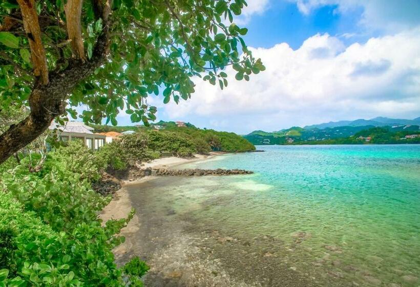ویلای 2 خوابه با چشمانداز دریا, 473 Grenada Boutique Resort
