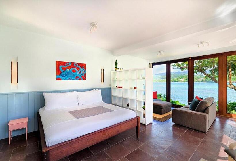 ویلای 1 خوابه با چشمانداز دریا, 473 Grenada Boutique Resort
